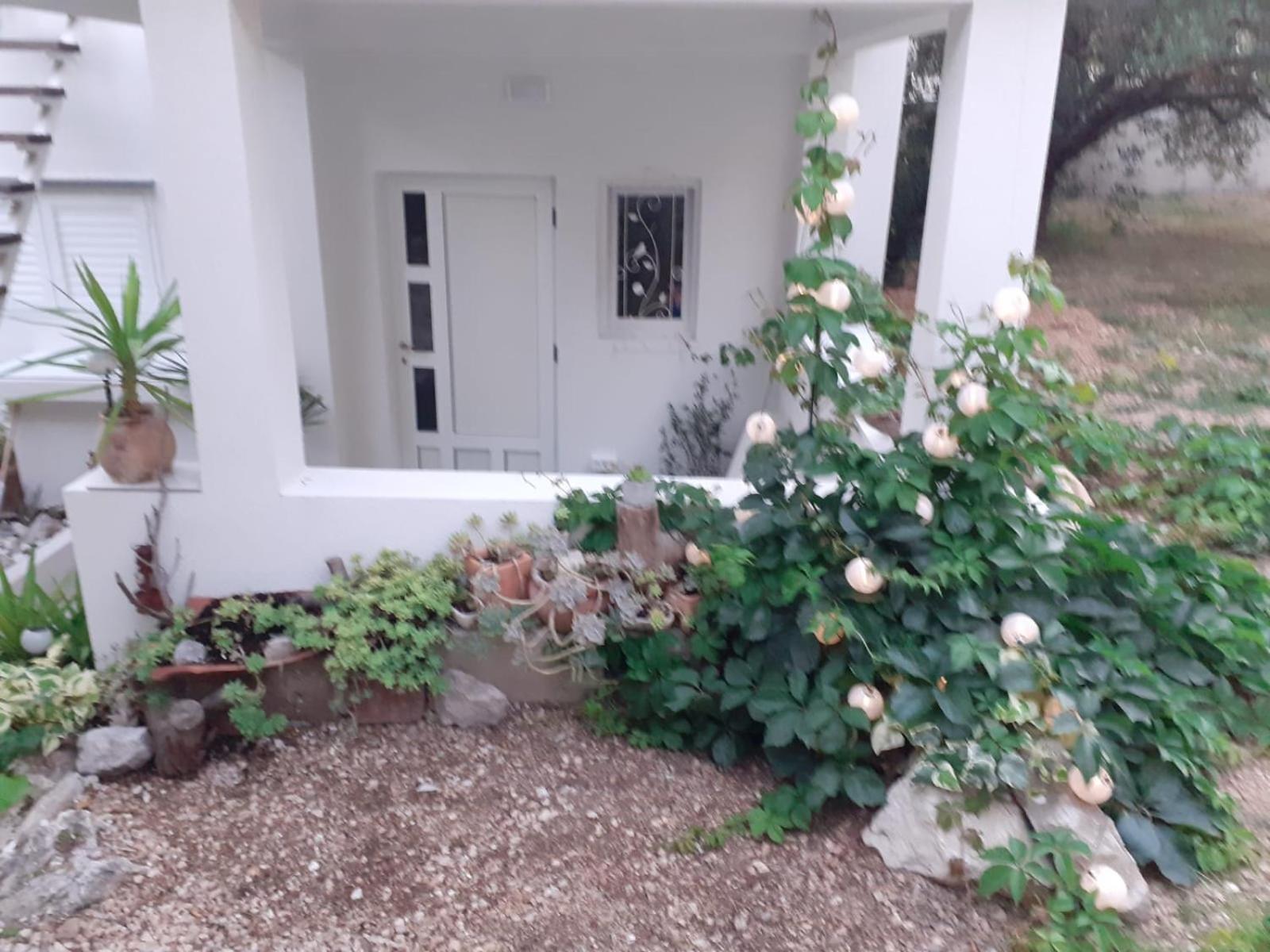 Villa Ana Makarska Chambre photo